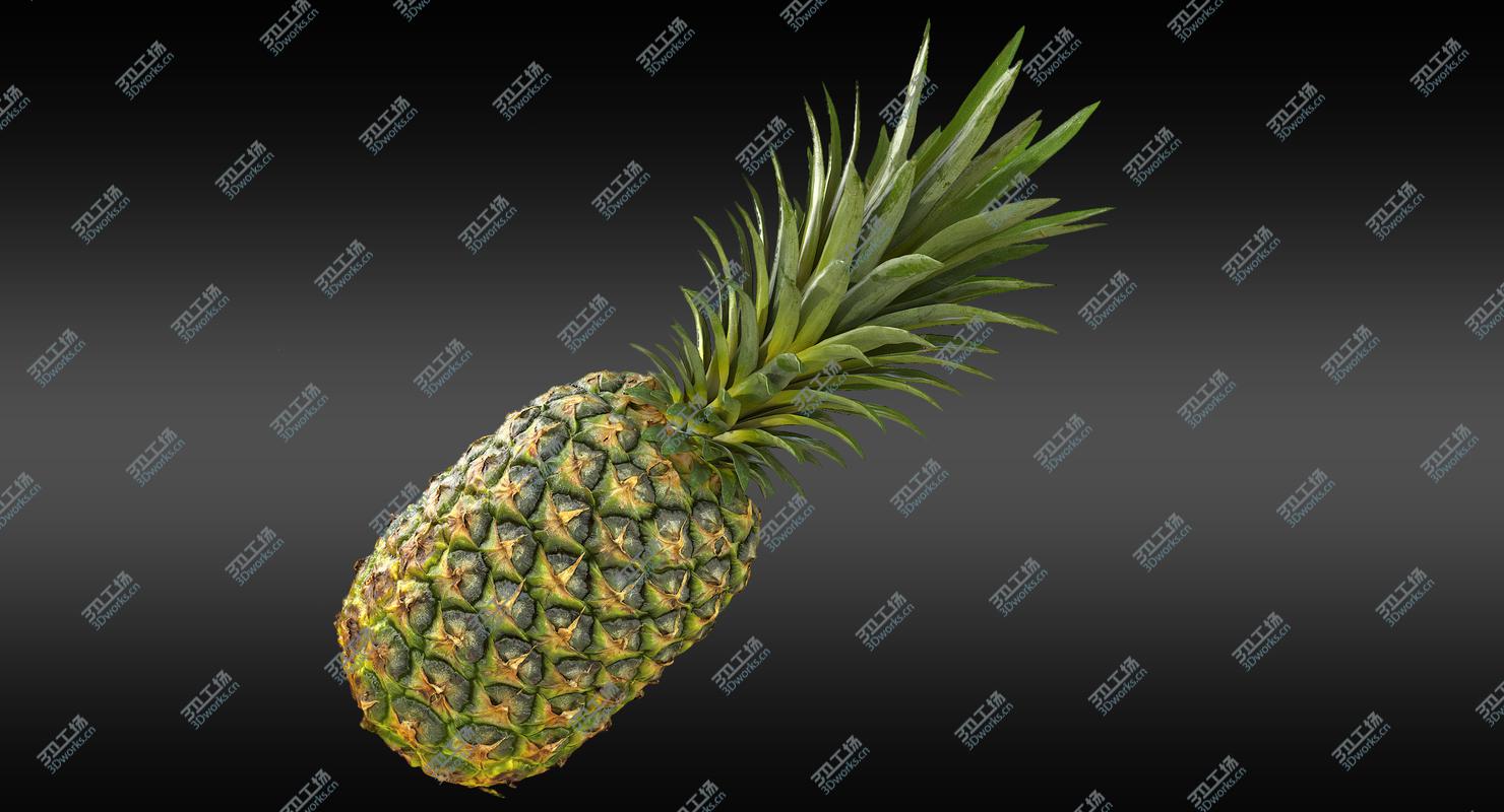 images/goods_img/20210319/Realistic Whole Pineapple 3D model/2.jpg